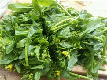 把春天吃进肚子里-炝炒油菜苔怎么做，把春天吃进肚子里-炝炒油菜苔怎么做好吃，把春天吃进肚子里-炝炒油菜苔做法