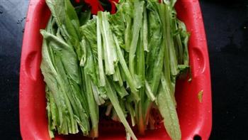 清炒油麦菜怎么做，清炒油麦菜怎么做好吃，清炒油麦菜做法