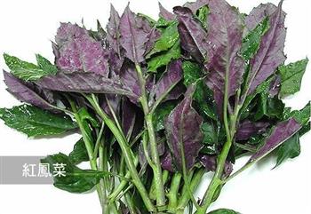 凉拌木耳菜怎么做，凉拌木耳菜怎么做好吃，凉拌木耳菜做法