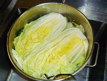 辣白菜怎么做，辣白菜怎么做好吃，辣白菜做法