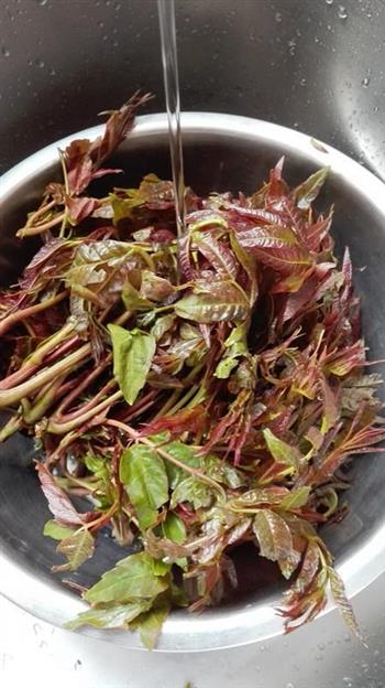 腌香椿芽怎么做，腌香椿芽怎么做好吃，腌香椿芽做法