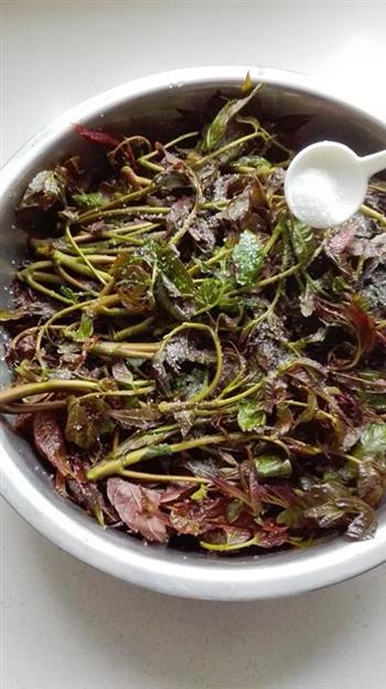 腌香椿芽怎么做，腌香椿芽怎么做好吃，腌香椿芽做法