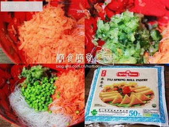 自制炸春卷怎么做，自制炸春卷怎么做好吃，自制炸春卷做法