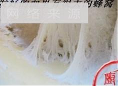 豆沙饼怎么做，豆沙饼怎么做好吃，豆沙饼做法