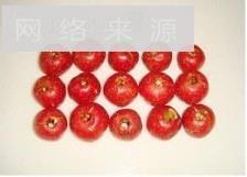北京果脯怎么做，北京果脯怎么做好吃，北京果脯做法