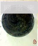 蜜桂花黄桃龟苓膏怎么做，蜜桂花黄桃龟苓膏怎么做好吃，蜜桂花黄桃龟苓膏做法