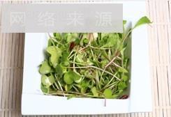 凉拌萝卜苗怎么做，凉拌萝卜苗怎么做好吃，凉拌萝卜苗做法