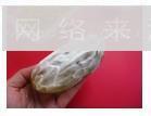 海苔肉松包怎么做，海苔肉松包怎么做好吃，海苔肉松包做法