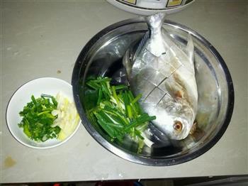 红烧鲳鱼怎么做，红烧鲳鱼怎么做好吃，红烧鲳鱼做法