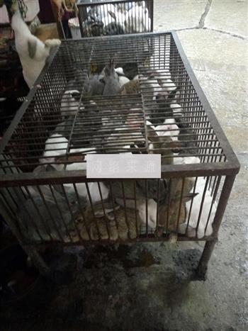 自贡冷吃兔怎么做，自贡冷吃兔怎么做好吃，自贡冷吃兔做法