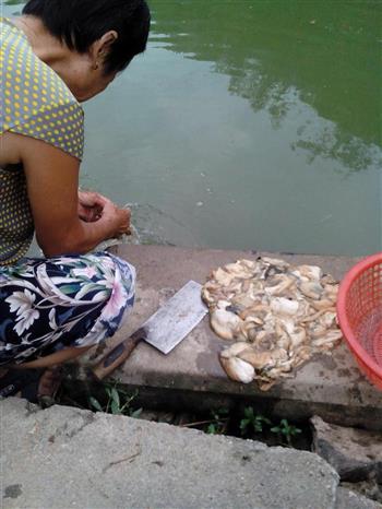 爆椒河蚌怎么做，爆椒河蚌怎么做好吃，爆椒河蚌做法
