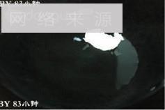 腐乳包菜怎么做，腐乳包菜怎么做好吃，腐乳包菜做法