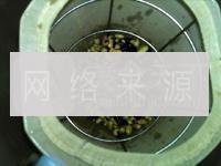 薏米黑黄豆浆怎么做，薏米黑黄豆浆怎么做好吃，薏米黑黄豆浆做法