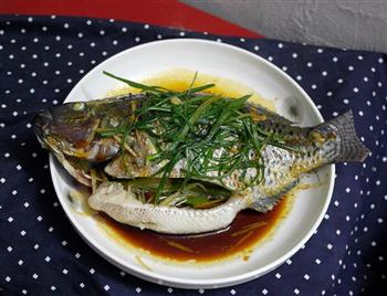 15分钟快手菜-清蒸罗非鱼怎么做，15分钟快手菜-清蒸罗非鱼怎么做好吃，15分钟快手菜-清蒸罗非鱼做法