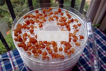 自制桂圆干怎么做，自制桂圆干怎么做好吃，自制桂圆干做法