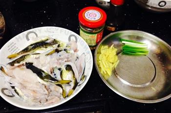 黄豆酱焖河豚怎么做，黄豆酱焖河豚怎么做好吃，黄豆酱焖河豚做法