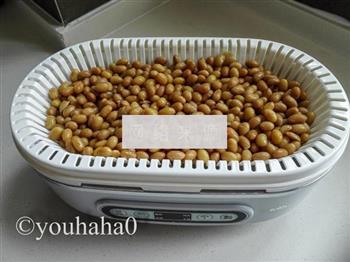 自制纳豆怎么做，自制纳豆怎么做好吃，自制纳豆做法