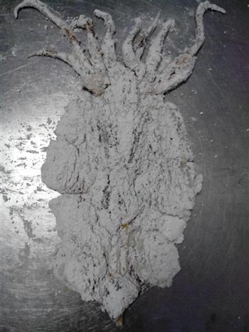 满点轰炸大鱿鱼怎么做，满点轰炸大鱿鱼怎么做好吃，满点轰炸大鱿鱼做法