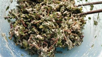 马齿苋菜团怎么做，马齿苋菜团怎么做好吃，马齿苋菜团做法