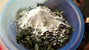 马齿苋菜团怎么做，马齿苋菜团怎么做好吃，马齿苋菜团做法