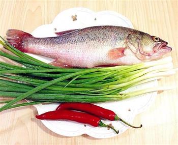 夏日餐桌-清蒸开屏鲈鱼怎么做，夏日餐桌-清蒸开屏鲈鱼怎么做好吃，夏日餐桌-清蒸开屏鲈鱼做法