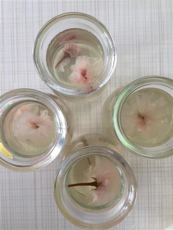 樱花果冻怎么做，樱花果冻怎么做好吃，樱花果冻做法