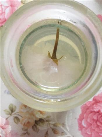 樱花果冻怎么做，樱花果冻怎么做好吃，樱花果冻做法
