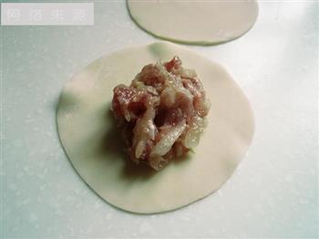 萝卜排骨汤煨萝卜猪肉饺怎么做，萝卜排骨汤煨萝卜猪肉饺怎么做好吃，萝卜排骨汤煨萝卜猪肉饺做法