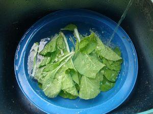 豆浆蔬菜锅怎么做，豆浆蔬菜锅怎么做好吃，豆浆蔬菜锅做法