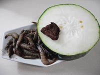 冬瓜虾仁菜脯汤怎么做，冬瓜虾仁菜脯汤怎么做好吃，冬瓜虾仁菜脯汤做法