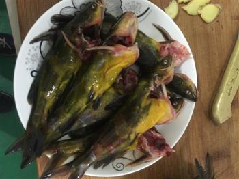 香浓黄骨鱼汤怎么做，香浓黄骨鱼汤怎么做好吃，香浓黄骨鱼汤做法