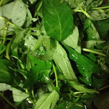 蒜茸蕃薯葉怎么做，蒜茸蕃薯葉怎么做好吃，蒜茸蕃薯葉做法