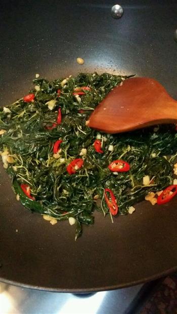 健康风味小菜-炒麻叶怎么做，健康风味小菜-炒麻叶怎么做好吃，健康风味小菜-炒麻叶做法