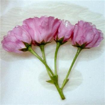 盐渍樱花怎么做，盐渍樱花怎么做好吃，盐渍樱花做法