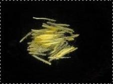 盐水菜心怎么做，盐水菜心怎么做好吃，盐水菜心做法