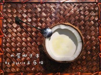 椰子冻盆栽-如何自制椰子冻怎么做，椰子冻盆栽-如何自制椰子冻怎么做好吃，椰子冻盆栽-如何自制椰子冻做法