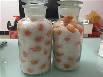 咸金桔怎么做，咸金桔怎么做好吃，咸金桔做法