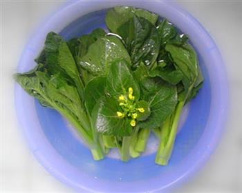 菜心炒蒜蓉的做法怎么做，菜心炒蒜蓉的做法怎么做好吃，菜心炒蒜蓉的做法做法