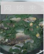 鲫鱼花蛤枸杞叶汤怎么做，鲫鱼花蛤枸杞叶汤怎么做好吃，鲫鱼花蛤枸杞叶汤做法
