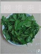 鲫鱼花蛤枸杞叶汤怎么做，鲫鱼花蛤枸杞叶汤怎么做好吃，鲫鱼花蛤枸杞叶汤做法