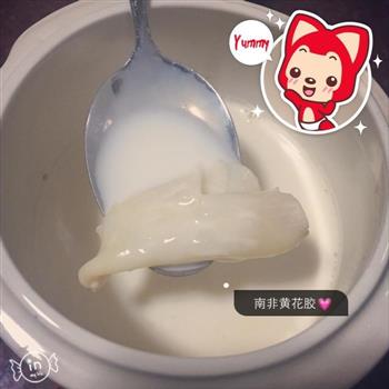 牛奶石蜂糖炖花胶怎么做，牛奶石蜂糖炖花胶怎么做好吃，牛奶石蜂糖炖花胶做法