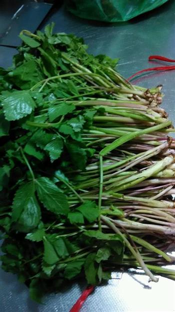 爽口山野菜怎么做，爽口山野菜怎么做好吃，爽口山野菜做法