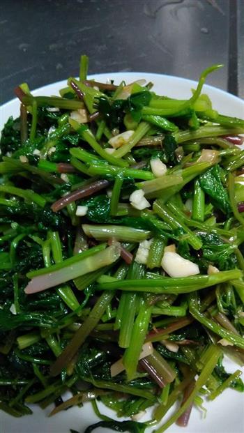 爽口山野菜怎么做，爽口山野菜怎么做好吃，爽口山野菜做法