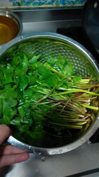 爽口山野菜怎么做，爽口山野菜怎么做好吃，爽口山野菜做法