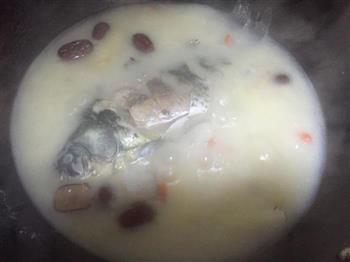 枸杞鲫鱼汤怎么做，枸杞鲫鱼汤怎么做好吃，枸杞鲫鱼汤做法