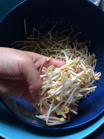自发绿豆芽怎么做，自发绿豆芽怎么做好吃，自发绿豆芽做法