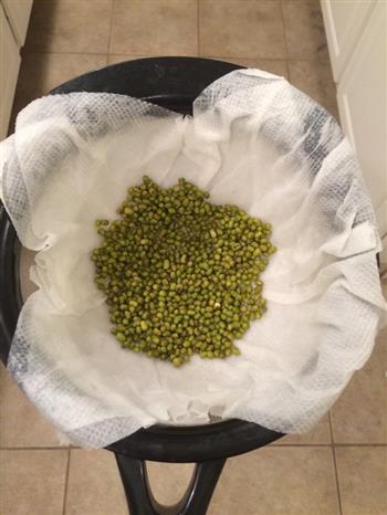 自发绿豆芽怎么做，自发绿豆芽怎么做好吃，自发绿豆芽做法