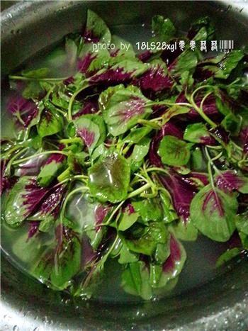 排毒强身-炝炒汉菜怎么做，排毒强身-炝炒汉菜怎么做好吃，排毒强身-炝炒汉菜做法