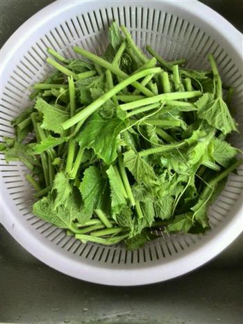 蒜蓉冬瓜苗怎么做，蒜蓉冬瓜苗怎么做好吃，蒜蓉冬瓜苗做法