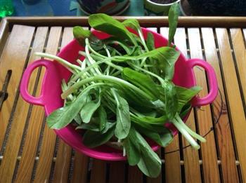 矿泉水浸鸡毛菜怎么做，矿泉水浸鸡毛菜怎么做好吃，矿泉水浸鸡毛菜做法